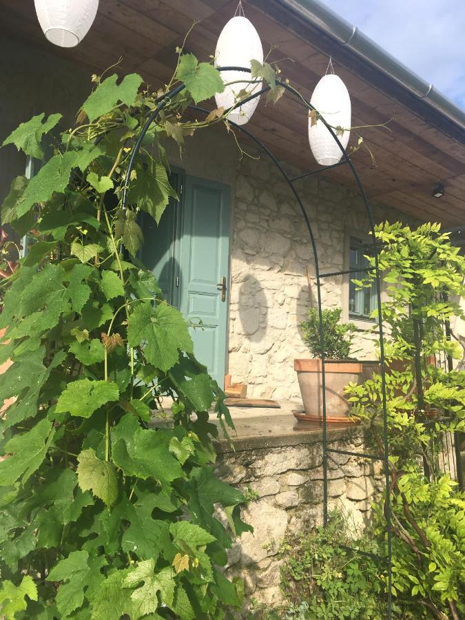Hungry Grape Guests Hotel Erdőbénye Buitenkant foto